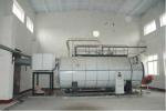 PLC Control Gas Fuel Fired Hot Water Boilers