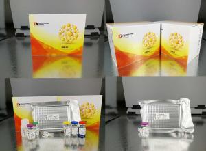 Quality Customized Hpt Sandwich Immunoassay Kit Canine Haptoglobin High Sensitive wholesale
