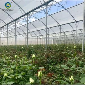 Quality Customization Commercial Gothic Type Greenhouse With Electric Systems wholesale