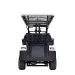 4 Seats Electric Golf Car Sightseeing Car with Ladder for Disabled People Trojan