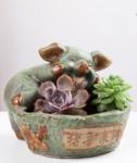 Succulent Creative Animals Cute Pig Plant Flowerpots