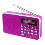 Customized Portable Radio Player , 3.7V 400mAh Battery Powered AM FM Radio