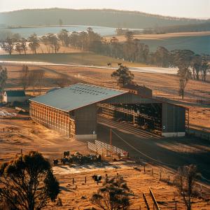 Quality Steel Portal Frame For Cow Sheds Enhancing Livestock Comfort And Productivity wholesale