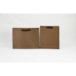 Lightweight Paper Garment Bag Customized Environmental Friendly