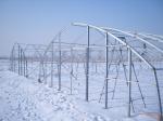 Arch Pipes Reinforced Commercial Polyethylene Film Greenhouse
