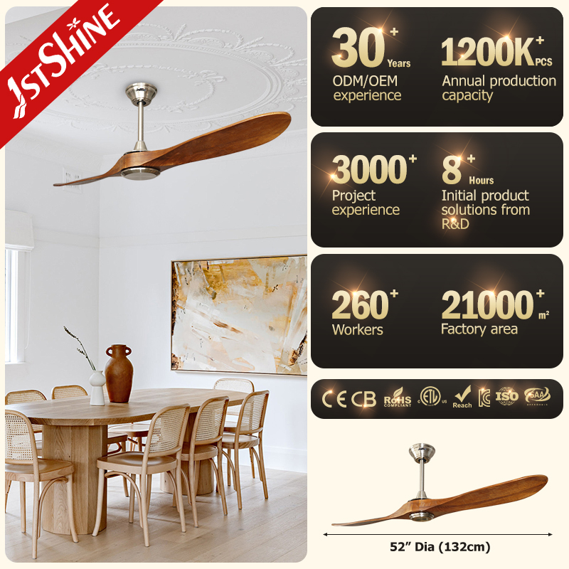 ceiling fan