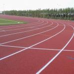 Sandwich System Eco Sports Flooring Synthetic Rubber Running Track