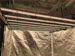Quality 1000w Full Spectrum Greenhouse Horticulture LED Grow Lights wholesale