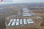 Construction Prefab Steel Structure Piggery Farm House / Steel Structure Cow