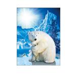 Living Room Decoration 3D Lenticular Photography Sealife Dolphin Images With