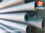 Stainless Steel Boiler Tube, ASME SA213 TP316H, Super Heater Boiler Application