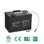 OEM ODM LiFePO4 lithium battery pack Customized electric yacht battery 12v 24v