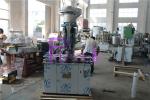 Automatic Glass Bottled Beer Filling Machine , Balanced Pressure Monoblock