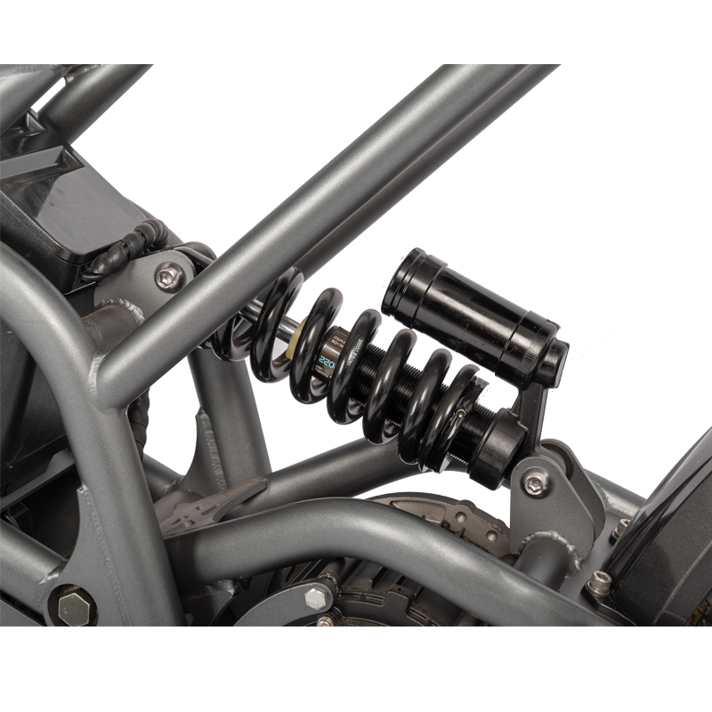 Dirt Bike MTB Electric Bike 2000W with Max Speed 30-50Km/h and 20Ah Battery Capacity