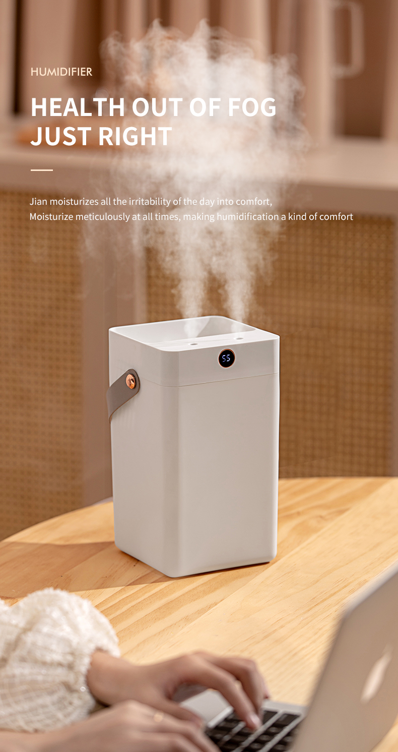 3L Large capacity Double Spray Diffuser Humidity Cool Mist Nebulization Air Humidifier With Digital Screen Display