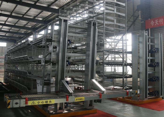 Environmental Friendly Automatic Chicken Cage / Chicken Breeding Cages