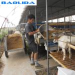 Hot-dip Galvanized Steel Poultry Film Tunnel Greenhouse Waterproof Sheep