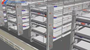 Quality Poultry Farm Equipment A Type Battery Broiler Chicken Cage For Small Farm wholesale