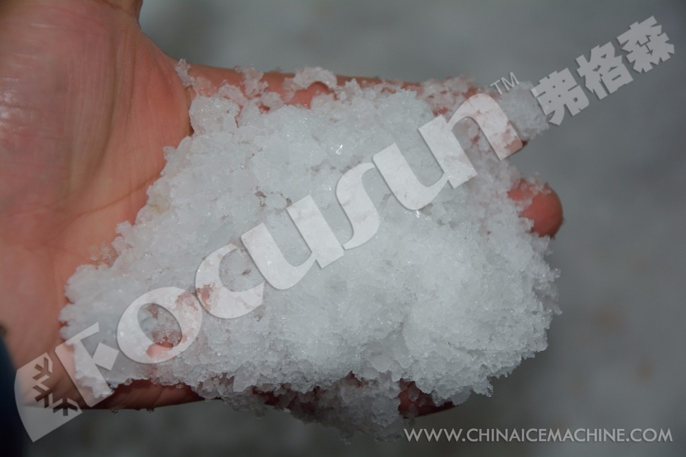 Focusun 100kg/min Block Ice Crusher with Screw Way Conveyor and 380v/50hz/3p Voltage