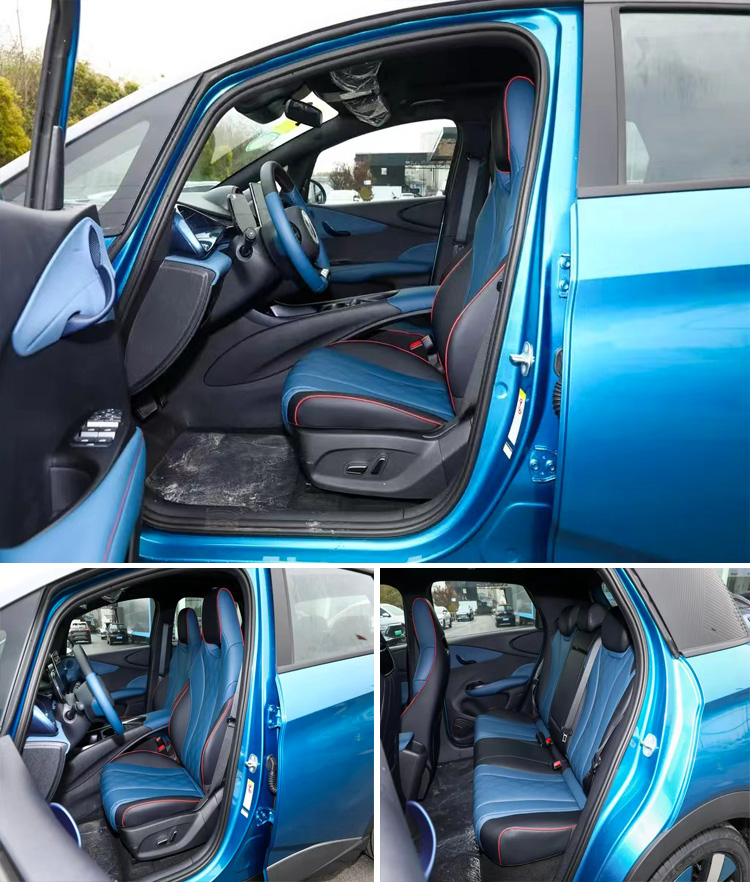 BYD Dolphin Long Range Pure Electric Vehicle with 180Nm Maximum Torque and Five Doors