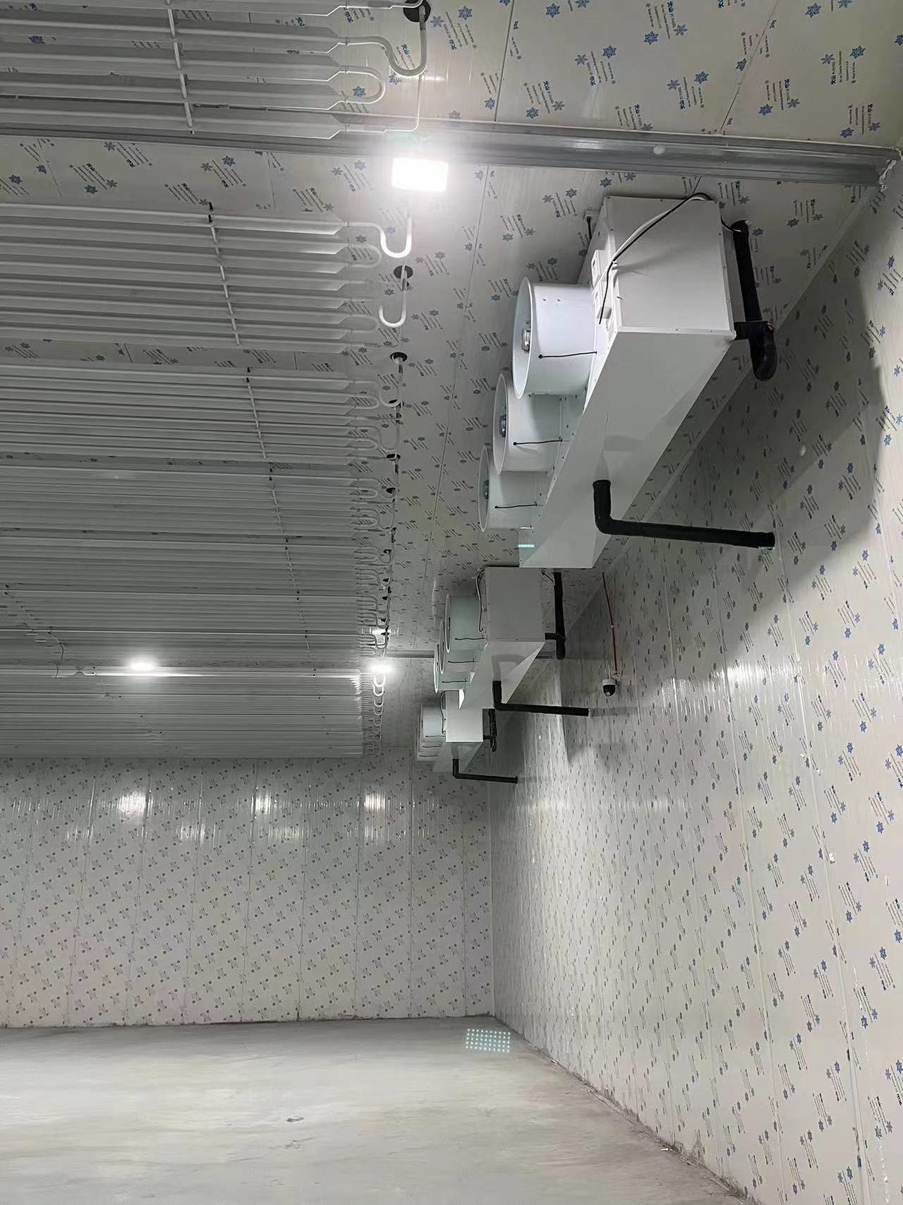 ISO Low Temperature Cold Room , Frozen Food Cold Room For Store Vegetables / Fruits