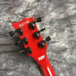 LP custom electric guitar with black floyed rose