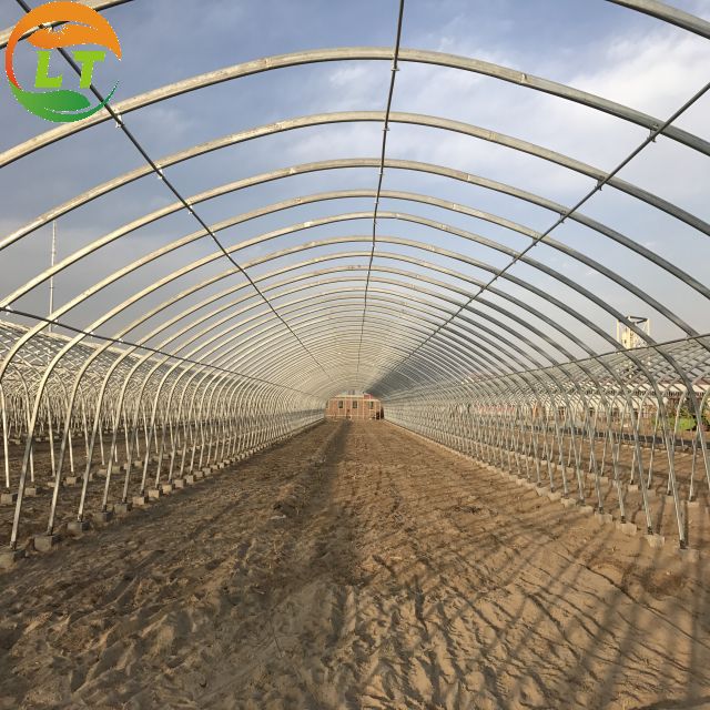 Film Cover Single-Span Agricultural Greenhouses for Agricultural Cultivation