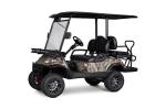 2 Seater Golf Buggy Golf E Car