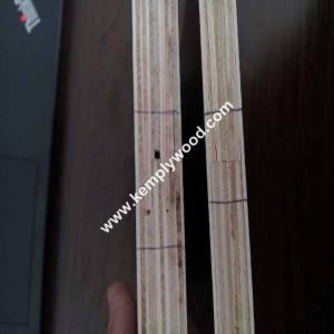 Quality Lowest Cheap Price 15 mm 18mm Recycled Finger Joint Core Film Faced Plywood from Linyi wholesale