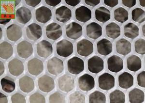 Quality Hexagonal Plaining 13mm Extruded Plastic Netting wholesale