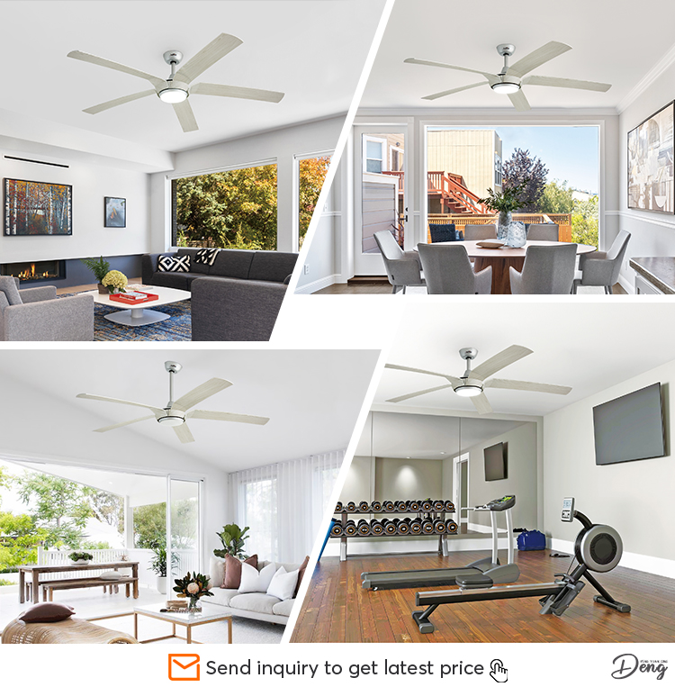 Big Room 65 Inches 5 Blades LED Ceiling Fan with Remote Control and 110-240V/50Hz-60Hz