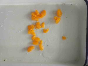 Quality 14% 15% 16% 17% Syrup Canned Mandarin Orange Segments wholesale