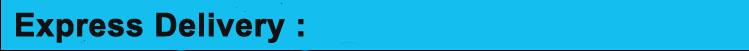 2017 New styles Golden 445nm blue laser pointer 3000mw burn match cigars cutting paper With DHL free Shipping