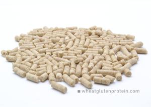 Quality Wheat Protein in Pellet for Eel / Shrimp and Marine Fish Feedstuff wholesale