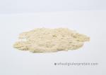 Food Ingredients Vital Wheat Gluten Protein 82.2% Protein