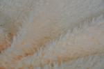 Warp Knitted Fabric Recycled Versatility and Fashion Coexist, Meeting Your