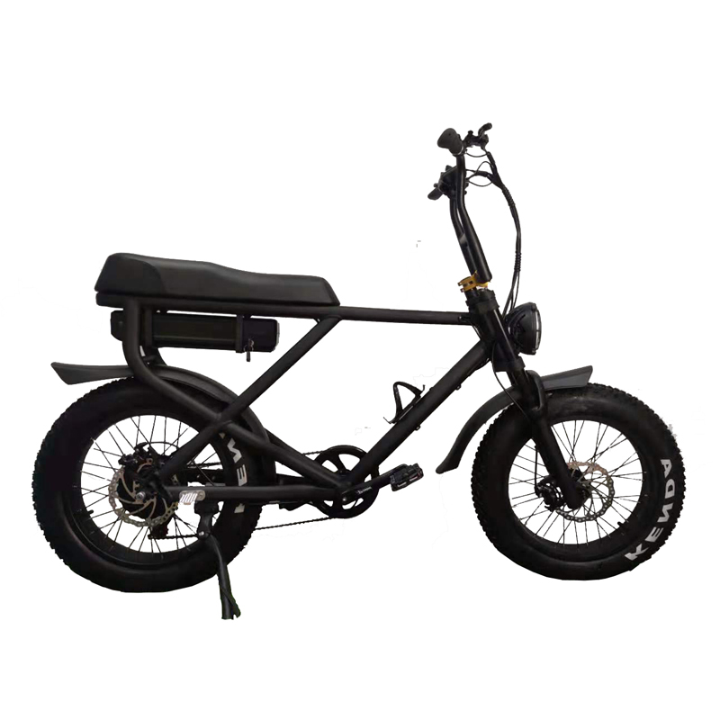 2022 Electric Fat Tyre Bike Mountain Adult Electric Bicycle 20 Inch Wheel Size 7 Speed