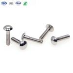 M4 Mirror Screw Stainless Steel Decorative Screws Mushroom Head Slotless Machine