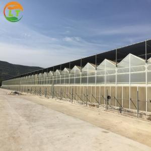 Quality American Tomato Agriculture Polycarbonate Greenhouse Equipped with Hydroponic Systems wholesale