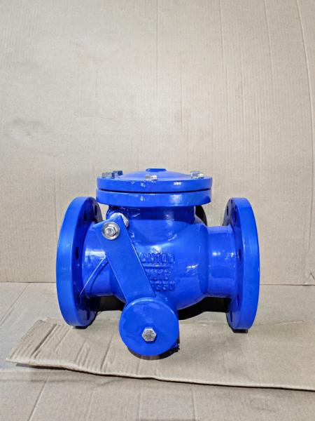 Counter Weight Swing Check Valve PN10-PN16 Cast Iron For Water Distribution