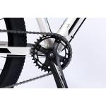 Full Shockingproof Frame 9 Speed 11s 26/27.5/29 Inch Alloy Mountain Bike For