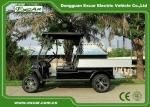 14 Inch Tires Hunting Utility Electric Golf Buggies With Cargo Box