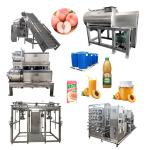 Industry Peach Juice Production Line Automatic Peach Processing Line Custom