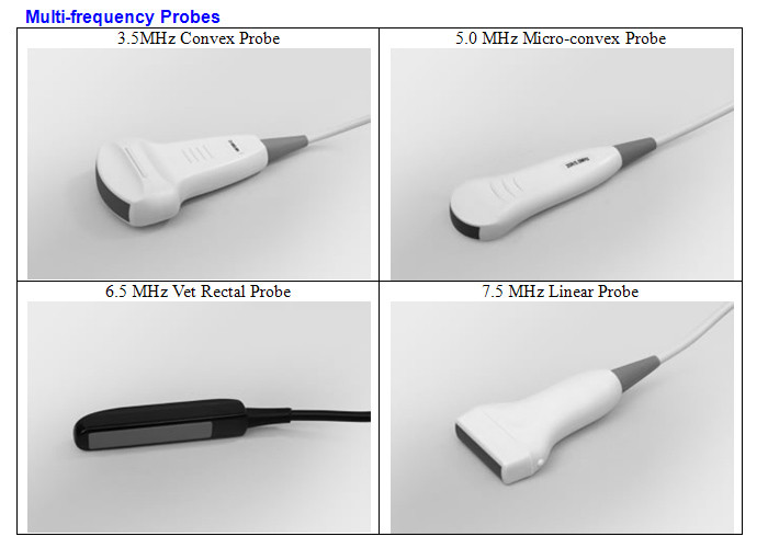Medical Veterinary Equipment 10.4 Inches Screen Portable Ultrasound Scanner