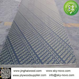 Quality Brown film face plywood with logos wholesale