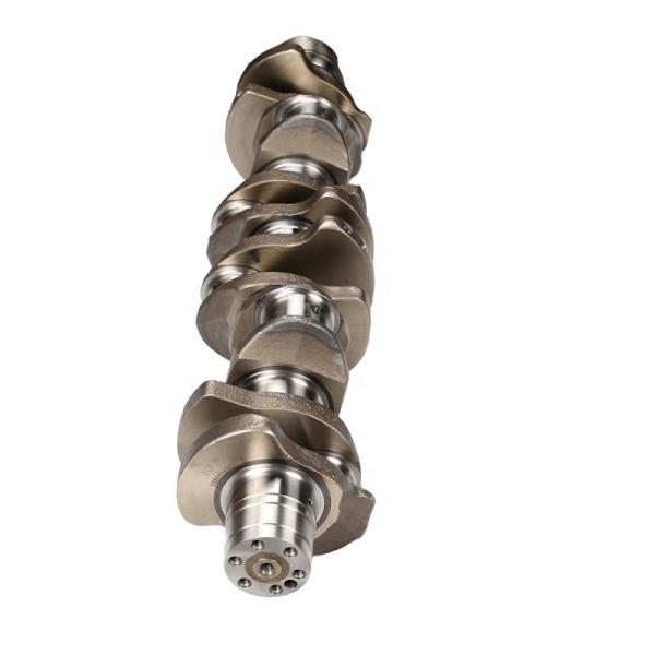 FCF DCT Forged Steel Crankshaft D1146 D2366 Engine Crankshaft 65.02101-7025 for