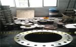 Customized Stainless Steel Forged Flanges F316L F304L F51 F53 F60