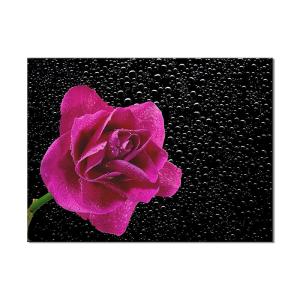Quality Big Size Flower Different Images Handmade Oil Painting Canvas Prints For Wall Decoration wholesale