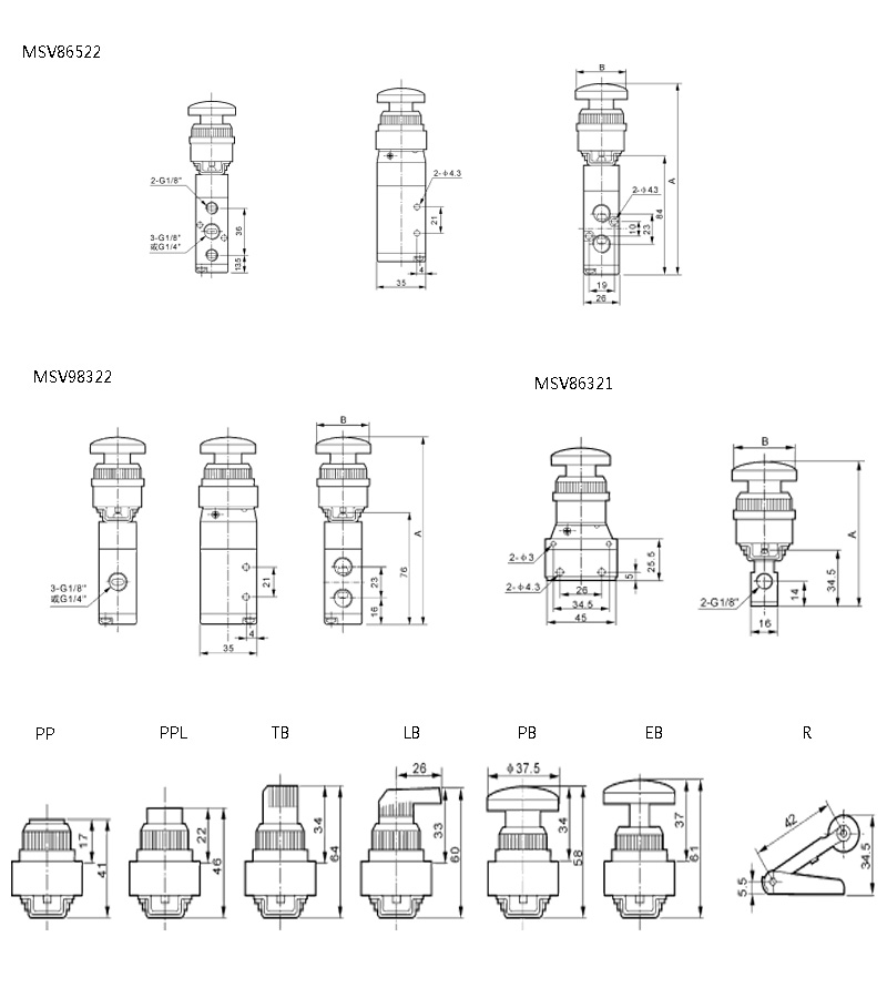 MSV86522.jpg