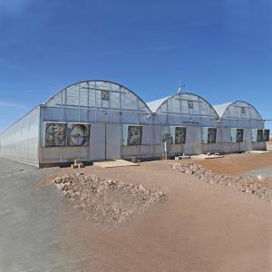 Quality Agricultural Polycarbonate Sheet Greenhouse Turnkey Project Serre Agricole Intelligent wholesale